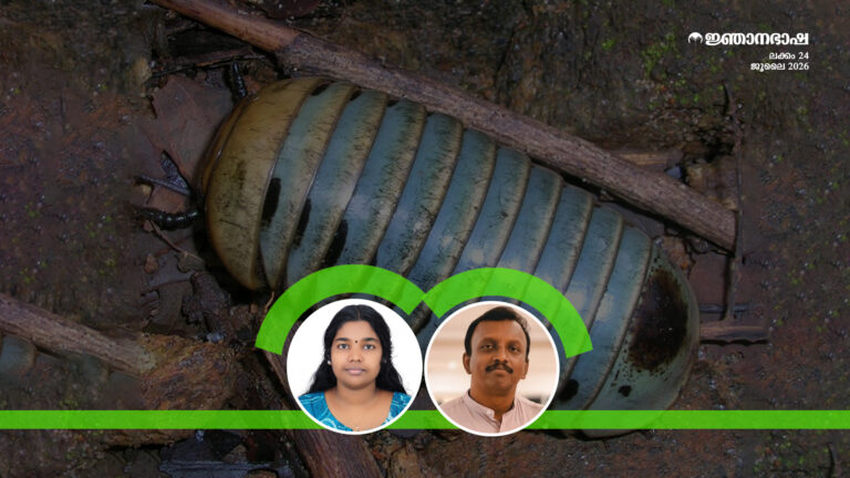 പന്തട്ടകളുടെ സെൽഫ് ക്ലീനിംഗ് പുറന്തോടുകൾ :ശാസ്ത്രീയാന്വേഷണം