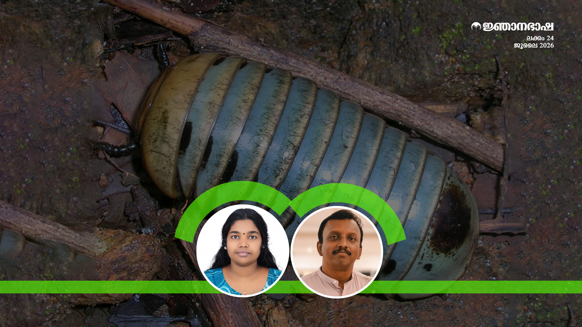 പന്തട്ടകളുടെ സെൽഫ് ക്ലീനിംഗ് പുറന്തോടുകൾ :ശാസ്ത്രീയാന്വേഷണം