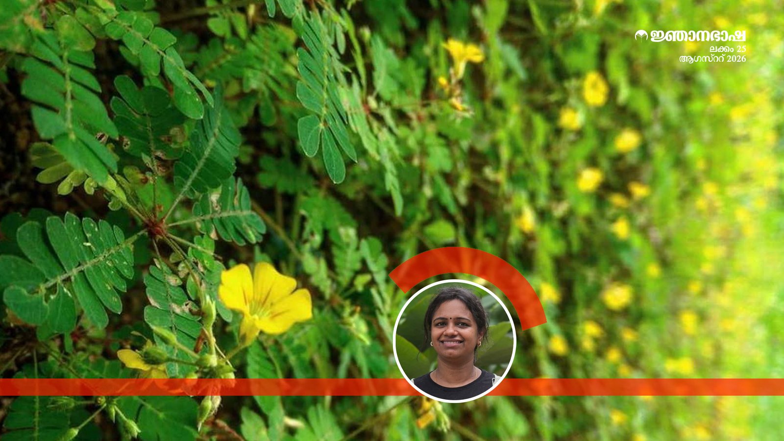 കേരളത്തിലെ വൈദ്യപാരമ്പര്യവും നാടൻ ചികിത്സാരീതികളും: