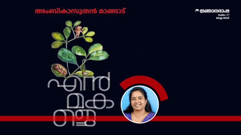 കാലാവസ്ഥാ വ്യതിയാനത്തിന്റെ നോവലാവിഷ്കാരങ്ങൾ